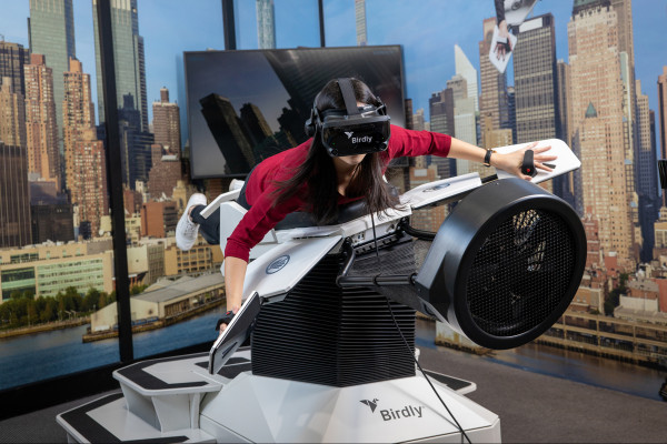 Fliegen wie ein Vogel mit dem Birdly Fliegen wie ein Vogel mit dem Birdly