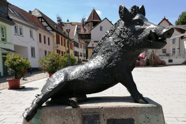Die Kirchheimbolander  Wahrzeichen: die Wutz auf dem Marktplatz