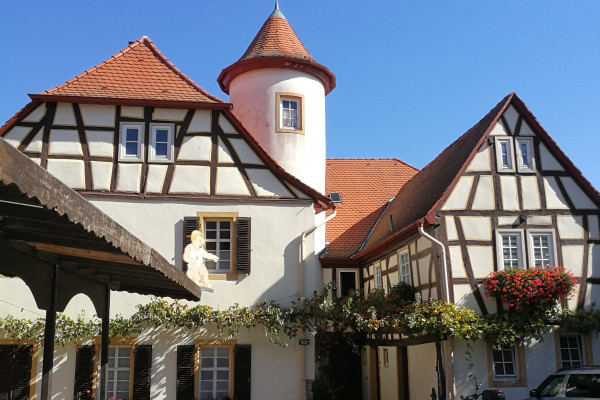 bei der alten Stadtmauer in Kirchheimbolanden