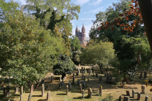 'Martin Buber-Blick', Jüdischer Friedhof Worms