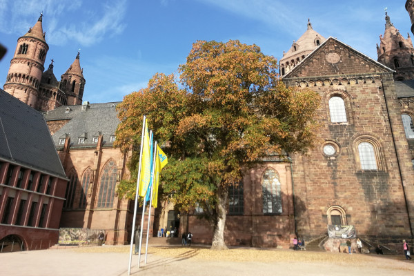 Dom, Südseite