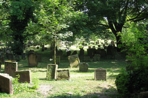 Auf dem Jüdischen Friedhof in Worms