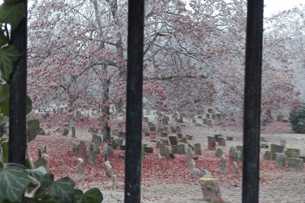 Jüdischer Friedhof