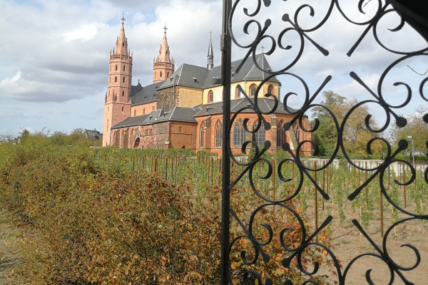 DIe Liebrauenkirche mit Weinlage 'Liebfrauenmilch'