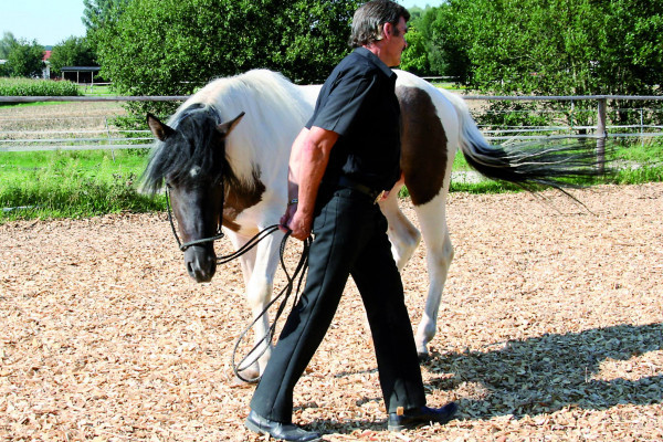 Fred Rai, dessen Dominanzarbeit für die Ausbildung von Pferden durch zwei Masterarbeiten der Uni München-Weihenstephan wissenschaftlich bestätigt worden ist