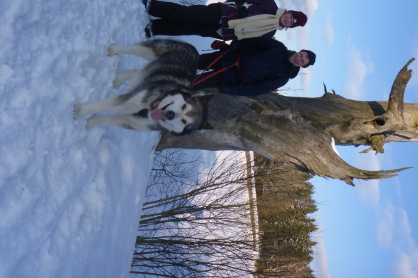 Adrenalintours - Huskywanderung Harz 