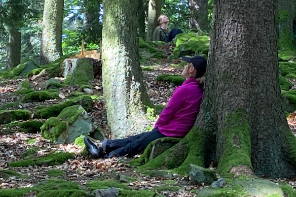 Den Wald mit allen Sinnen erleben