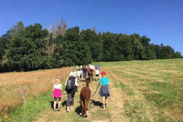 Wandern über Wiesen und durch den Wald