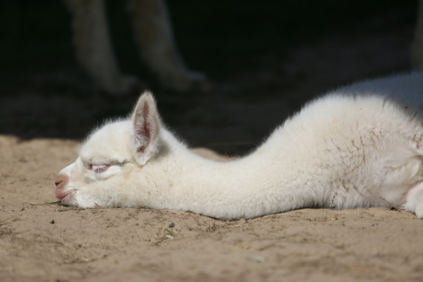 auch unsere "Kleinen" beobachten