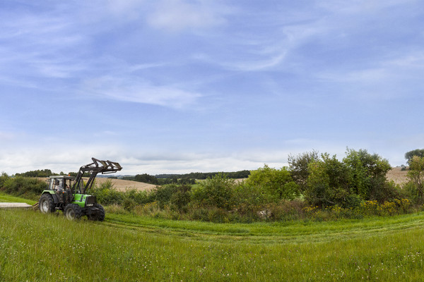 Futtter " Heu von den eigenen Wiesen"