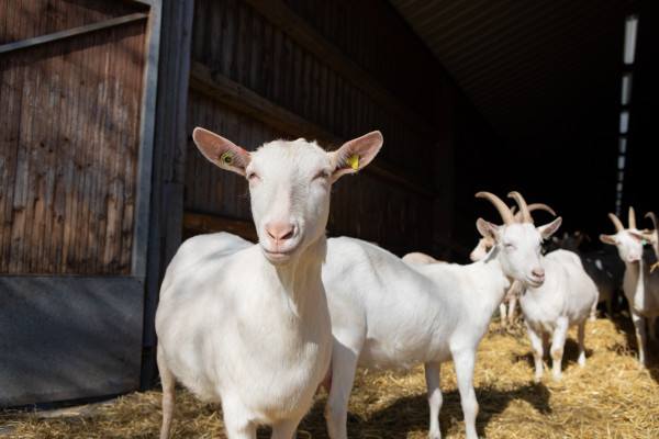 Wir freuen uns auf Besuch!