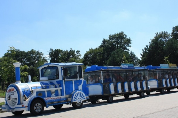 Seeschlange unterwegs