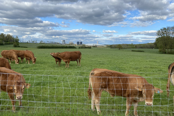 Fahrradtour Landschaften Luxemburg