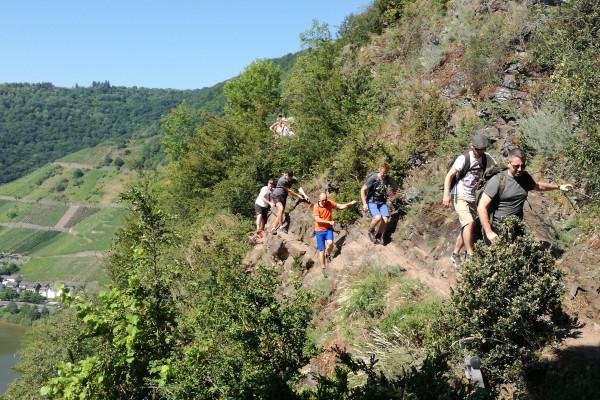 Weinberg Klettersteig an der Mosel