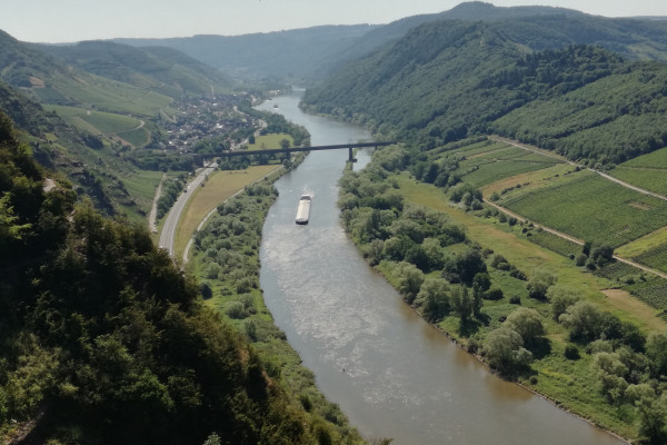 Weinberg Klettersteig an der Mosel