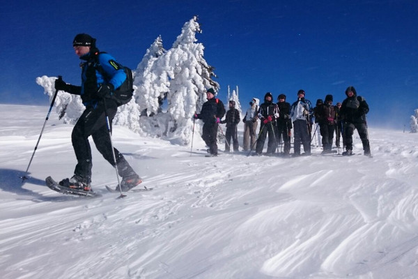 Schneeschuh-Tour Feldberg (Schwarzwald) - mit Guide
