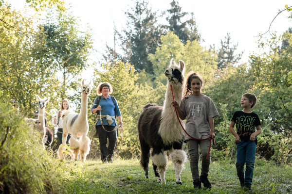 Im Team kümmern wir uns um die Lamas