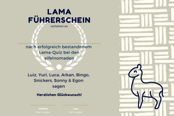 Und am Ende gibt's nach erfolgreicher Teilnahme am Lama-Quiz noch den Lama-Führerschein!
