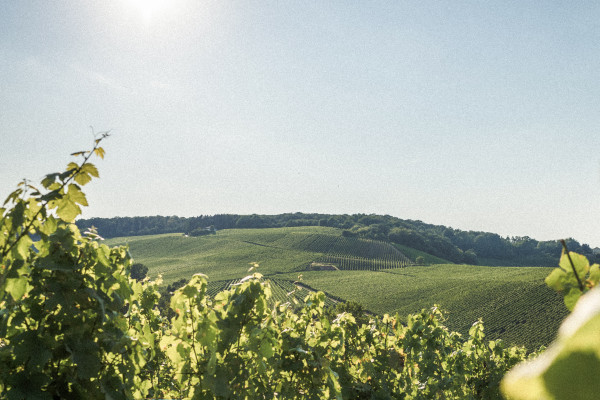 ©Visit Moselle Luxembourg/Mike Zenari