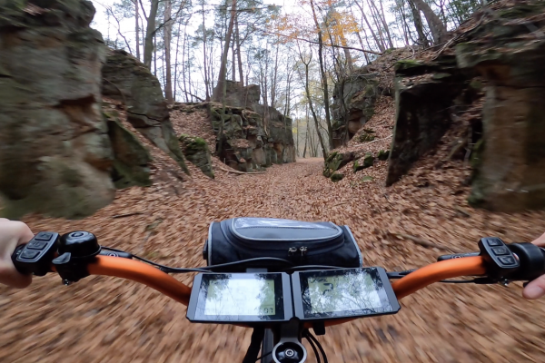 Geführte Tour mit E-Scooter Beaufort Wald