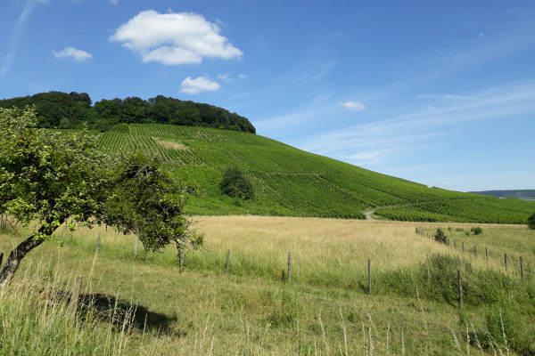 Aussicht auf den Fëlsberg © Vist Moselle Luxembourg