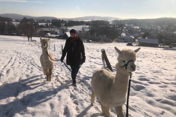 Wandern durch die Winterlandschaft