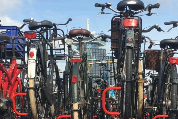 Herzblut Amsterdam Stadtführungen mit Herz und Seele!