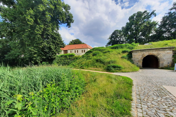Senftenberger Lieblingsplätze, Foto: TI Senftenberg