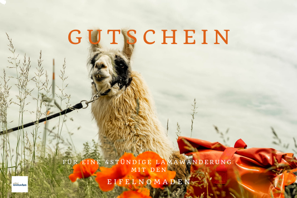 Gutschein Lama-Wanderung 4 Stunden (Motiv Luiz)