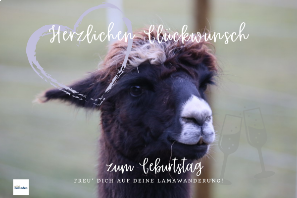 Gutschein Lama-Wanderung zum Geburtstag (Luca)