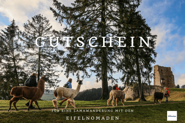 Gutschein Lamawanderung Motiv Burg Schönecken