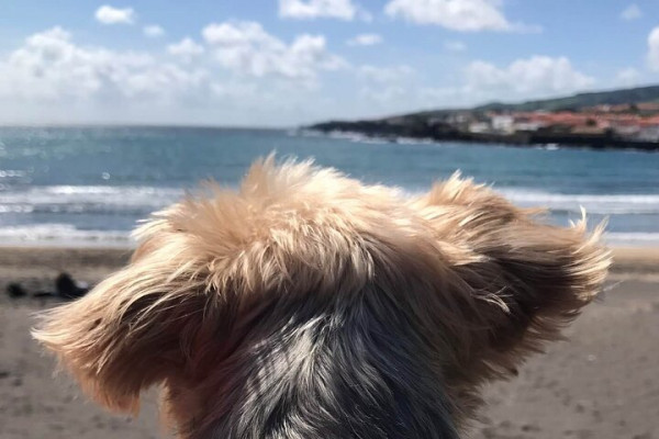 Strandleben