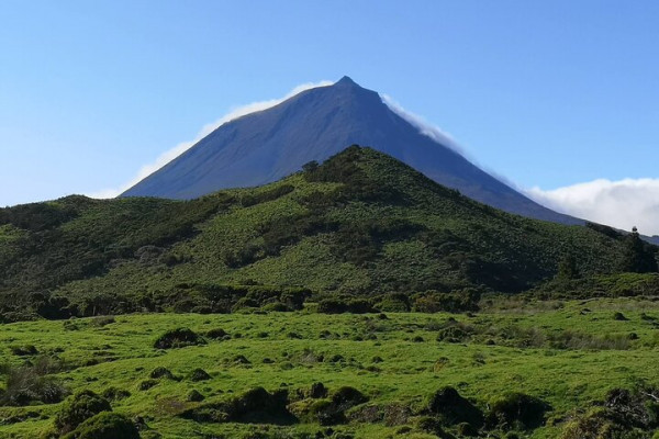 Pico