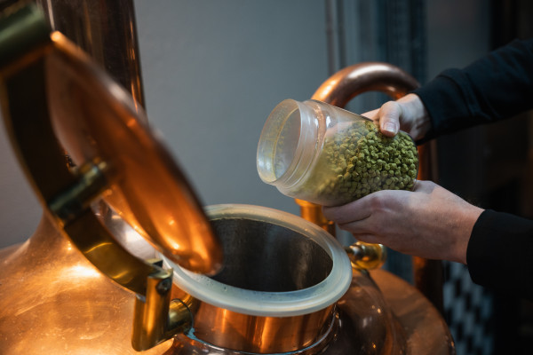 Herstellung von Bier und Seminar