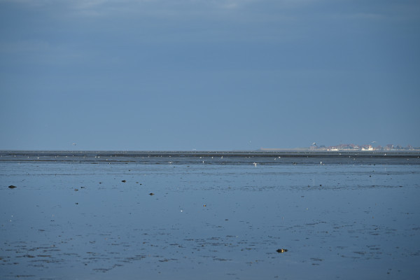 Blick durchs Watt zur Insel Baltrum
