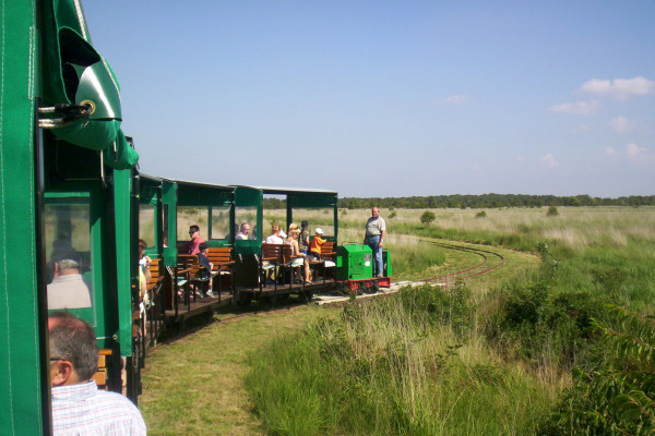 Natur pur im Ahlenmoor