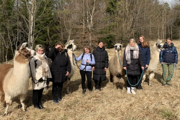 Junggesellinnenabschied mit Lamas: Herbstwanderung