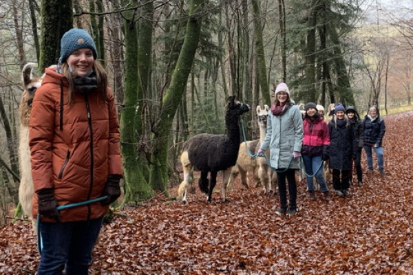 Junggesellinnenwanderung im Herbstwald