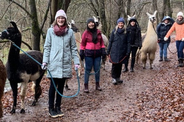 Lamawanderung mit Junggesellinnen im Winter