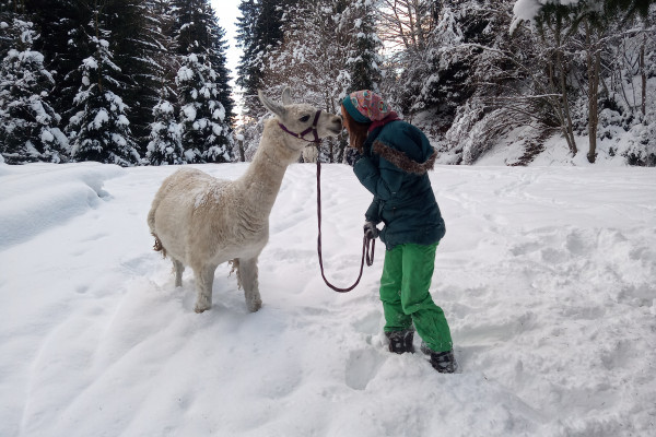 Erholung und Kuscheln inklusive