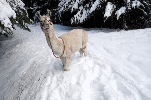 Tolle Winterlandschaft