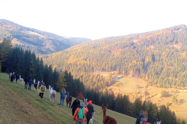 In Stille wandern