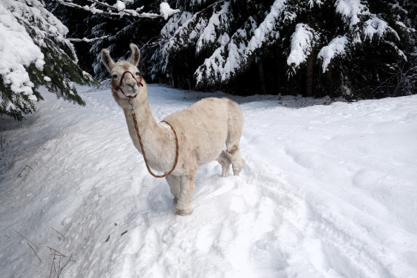 Ganzjährig auch im Winter