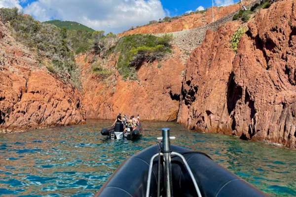 Jedes unserer RIB-Motorboote bietet Platz für bis zu 12 Passagiere