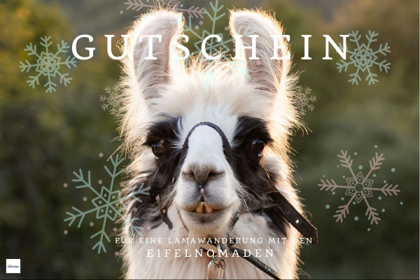 Gutschein Lamawanderung Weihnachten