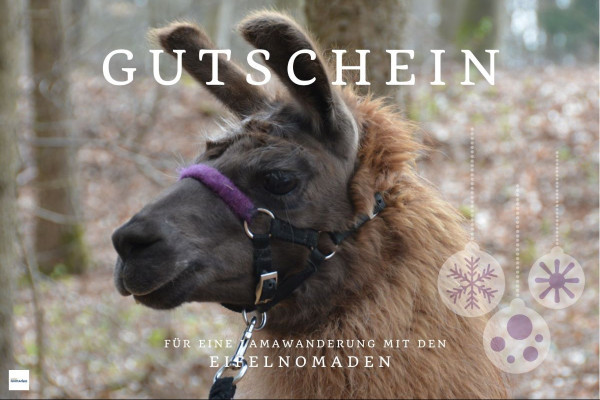 Gutschein Weihnachten Alpakawanderung oder Lamawanderung
