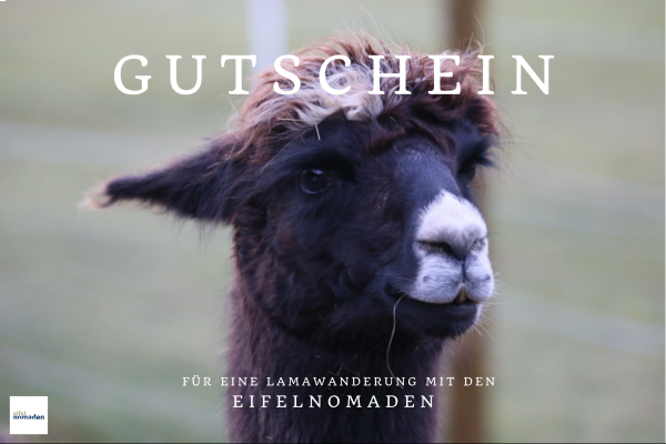 Gutschein Lamawanderung Lieblingsmensch (Luca)