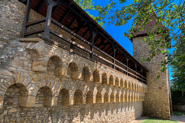 Stadtmauer Alzey mit Taubenturm
