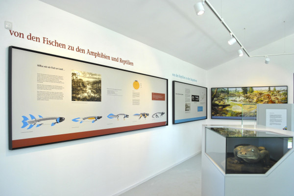 Ausstellung Kalkturm