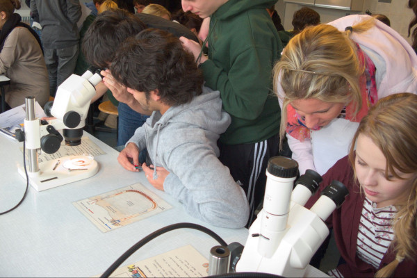 Hinschauen - Begreifen (Bild: U. van der Meer, NPH Dornumersiel)